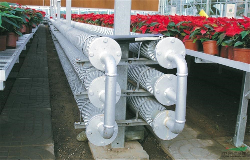 Regulated Glass Greenhouse for Vegetable/Flower/Fruit
