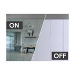 China Laminated Safety Glass Hard Coated Low-E Coating Planibel G, Sunergy Clear