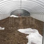 Hot Galvanized Steel Structure Tunnel Greenhouse For All-Season Farming
