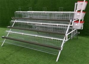 China Cold Galvanized Durable Raising Chickens Egg Laying Cage 120Birds wholesale