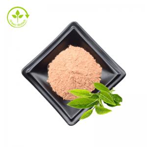 China Organic Green Tea Green Instant Tea Extract Powder EGCG Powder By GMP Factory wholesale