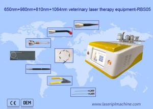 China 650nm 810nm 980nm 1064nm Diode Laser Hair Removal Portable For Animal Use wholesale