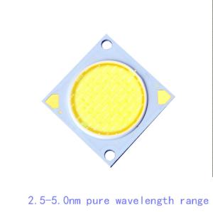 China RoHS 520nm 530nm LED COB Chips 900mA COB LED 30W For LED Tracking Light wholesale