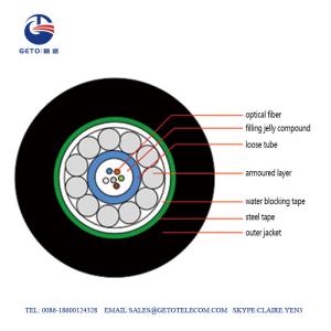 China 250um 2 Cores Central Tube 1000m HDPE OM4 Fiber Optic Cable wholesale