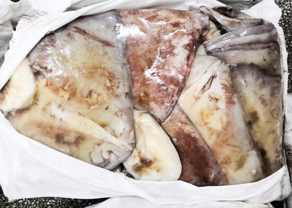 Bqf Squid Dried Fish Big Size Chinese Ocean Vessels 20 Kg Net Weight