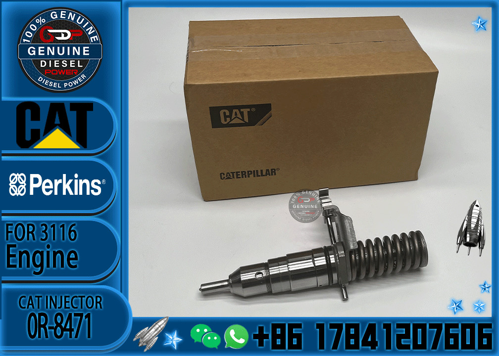 Excavator Parts CAT 3114 3116 3216 Engine fuel injector fuel injector 4P-2995 6I-3669 0R-8471 0R-8475 0R-8473