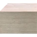 100% Eculyptus Core FSC 2mm Gaboon Marine Plywood