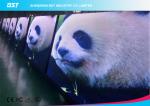 Slim 64 X 64 Pixels P3mm Indoor Full Color LED Screen Video Wall Panels SMD 2121