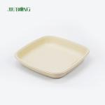 Bagasse Takeaway Disposable Sugarcane Paper Plates Biodegradable