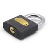 Buy cheap Weather Proof Cast Iron Padlock Heavy Duty Customizable from wholesalers