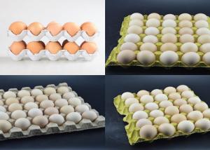 China Large Capacity Pulp Molding Equipment Egg Tray Egg Carton Production Line wholesale