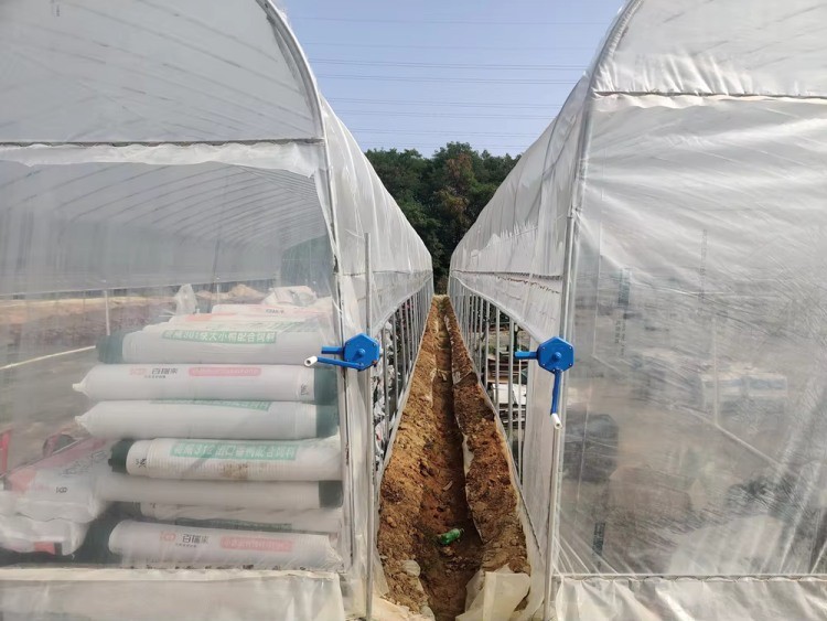 PE PO Film Tunnel Greenhouse Commercial Agricultural Greenhouse Customizable