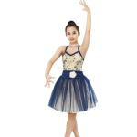 Ballet Dance Tutu Dress Competition Performance Wear Sweetheart Bodice Ballet