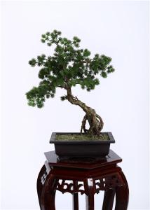 China Ideal Imitation Bonsai Trees Rejuvenating Lush Fronds YC076-5 SJS Certification wholesale