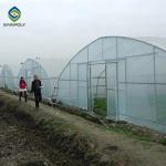 10m Plastic Single Tunnel Greenhouse Uv Resistant Clear Sheeting