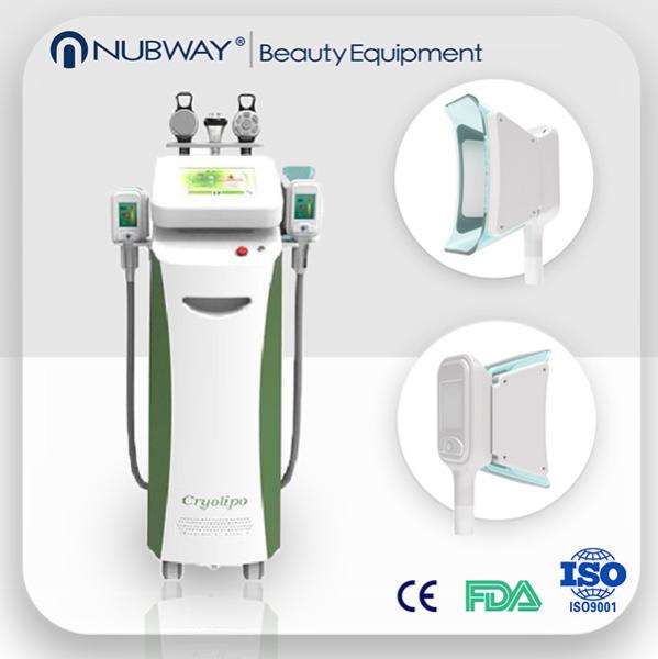 5 handles fat reduction / skin whitening cryolipolysis slimming multifunction