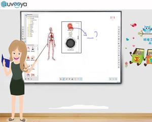 China 83inch Electronic Smart Interactive Whiteboard Iwb Board 20 Points wholesale
