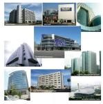 Voice Absorption 1220x2440mm Aluminium Honeycomb Sandwich Panel For Building