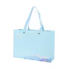 Clothing Apparel Printed Reusable Shopping Bags , Modern Designer Paper Bags