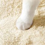Premium Cassava Cat Litter Sand Biodegradable Quick Clumping Cat Litter