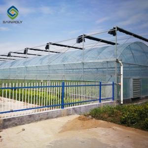 China Horticultural Toughened Glass Greenhouse 9.6m / 10.8m / 12m Span wholesale