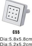 C55 Shower Nozzle