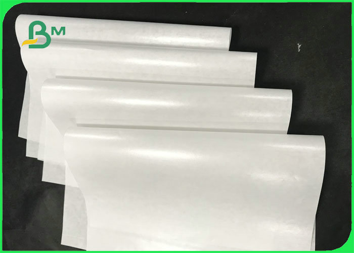 50gsm 60gsm 70gsm Oil - proof Single PE Coated Paper Roll For Packing Food 