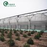 Buy cheap Large Steel Greenhouse Structure Shed Design With 150/200micro PE Film Covering from wholesalers