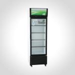 Single-Temperature Vertical 1-Door Showcase Commercial Refrigeration Beverage