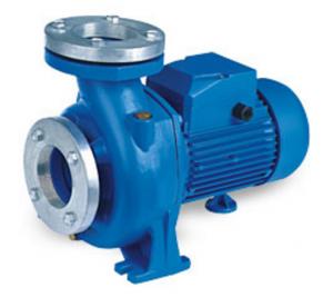 China Single Phase 1.5HP Water Pump For Agricultural Irrigation Lawn Irrigation Pump wholesale