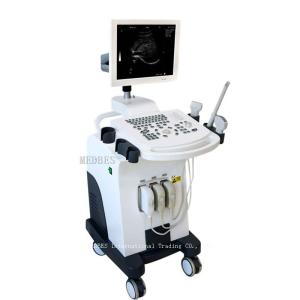 China Full digital hospital cheapest 4D trolley color doppler laptop portable wholesale