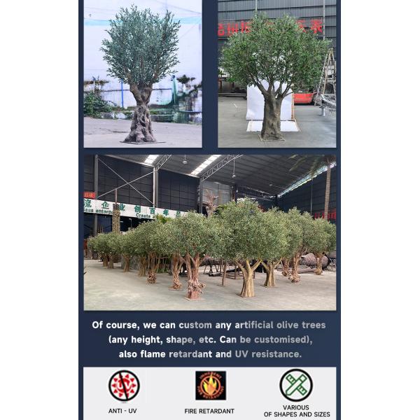 Customized Large Olive Artifical Tree Simulation Indoor Restaurant Decoration
