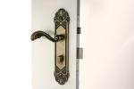 Residential Mortise Lockset / Mortise Style Lock Spray Alluvia Gold