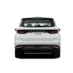 Lifan Maple Leaf 80V MPV EV Five Door Six Seat Long Range Comfortable Business