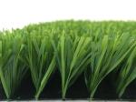 Sports Facilities Playground Synthetic Grass Artificial Turf For Hotels /