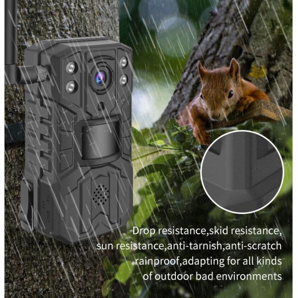 Live View On Smartphone 4G LTE Hunting Camera Wireless Deer Scouting