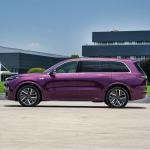 Large Electric Cars for Adults 5-Door 6-Seat SUV Lixiang L9 PRO Energy Extender