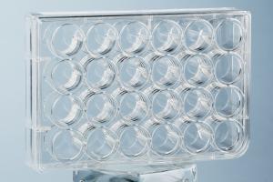 China Lab 24 Well Plate Cell Culture Consumables Polystyrene wholesale