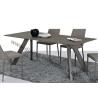 Buy cheap Elegant Rectangle Dining Room Table 2.0 Meter Moka Frosted Top Long Life Span from wholesalers