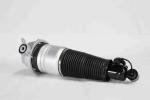 Adaptive Rear VW Volkswagen Struts Phaeton Porsche Q7 7l8616019d