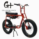 Disc Brake 20 Inch 750w 1000w Dual Battery Electric Fat Tire Mountain Bike