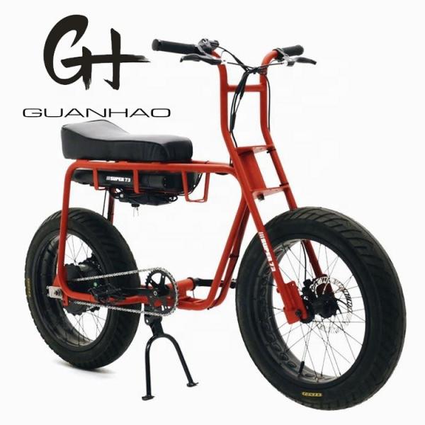 Disc Brake 20 Inch 750w 1000w Dual Battery Electric Fat Tire Mountain Bike