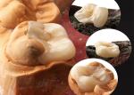Natural Looking Ceramic Inlays and Onlays for Precise Dental Restoration from