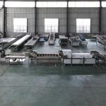 Industrial Stainless Steel Vegetable Washing Line with Customized Voltage and