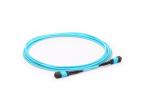 MPO Female - MPO Female 24C Premium Quality Fiber Optic Patch Cord for Data