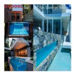 Transparent Swimming Pool Cleaner Triangular Vacuum Head Cleaner for Family