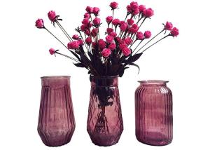 China Modern Decorative Glass Vases / Large Decorative Clear Glass Vases wholesale
