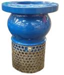 DIN foot valve