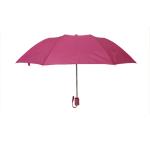 Small Compact Double Fold Umbrella Automatic Open Metal Frame No Print