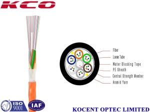 China Custom 12 Multi Strand Fiber Optic Cable Single Mode PE Material Indoor Outdoor wholesale